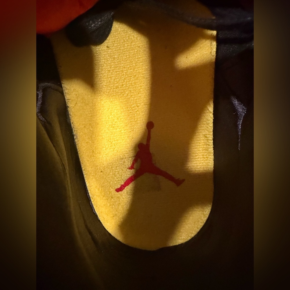 AIR JORDAN 3 RETRO SE 'ANIMAL INSTINCT 2.0' size 9 - Picture 8 of 11